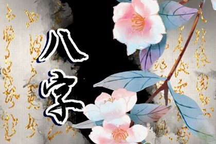 四柱结构：年月日时的分工