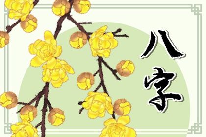 在线排盘的便利与边界