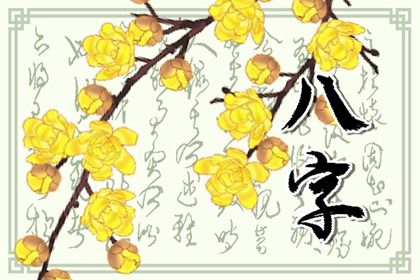 十神:行为倾向而非道德标签