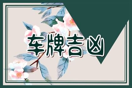 车牌吉凶看什么