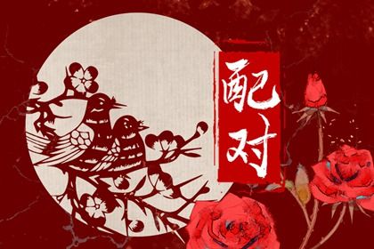 姓名配对在合婚中的位置