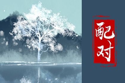 如何读本页结果