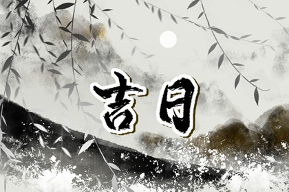 本命盘测试,命盘排盘,九星命盘解析,看命盘