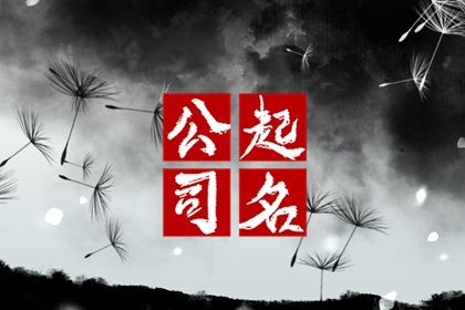 冲克生肖的字一定不能用吗