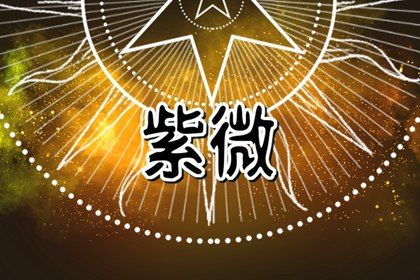 在线排盘看什么